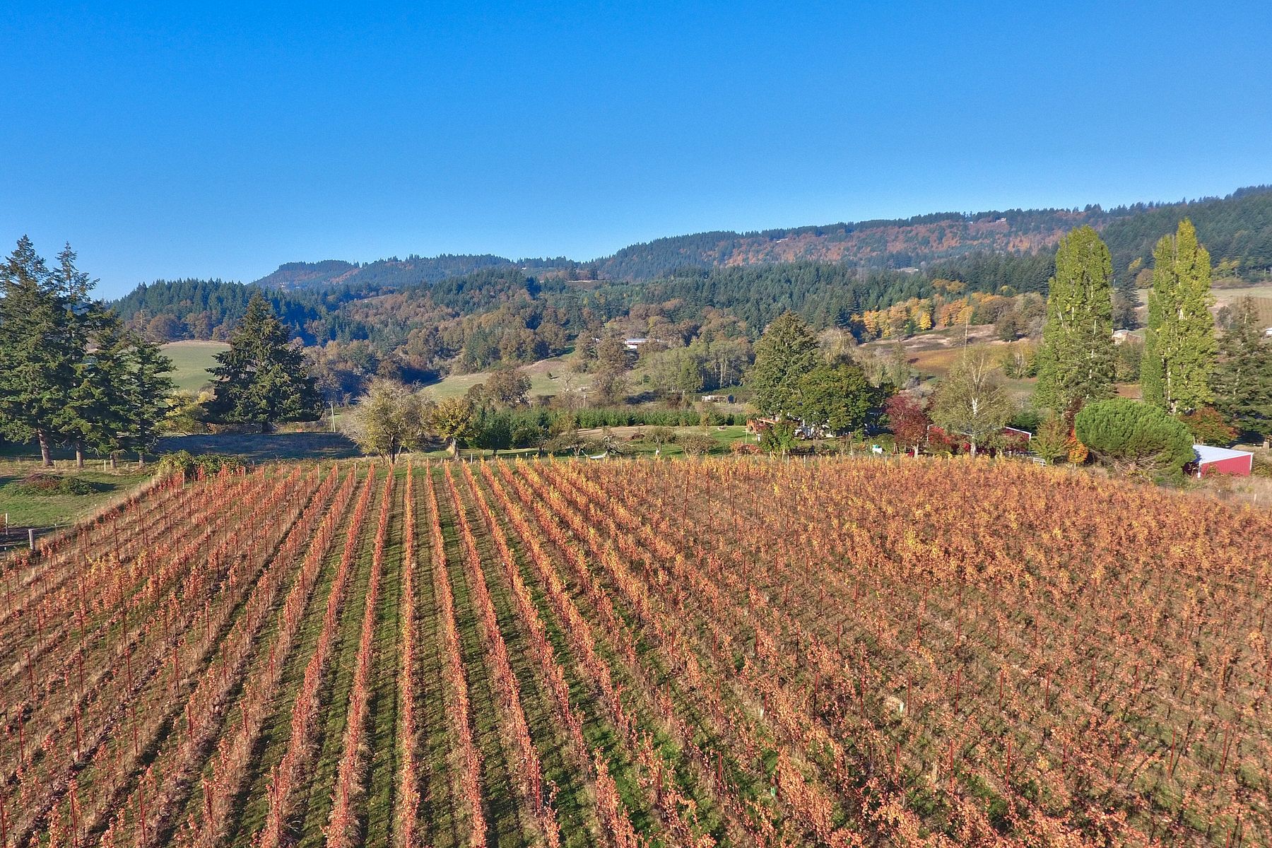 Pacific vineyard service photography, not current inventory